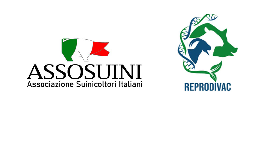 assosuini