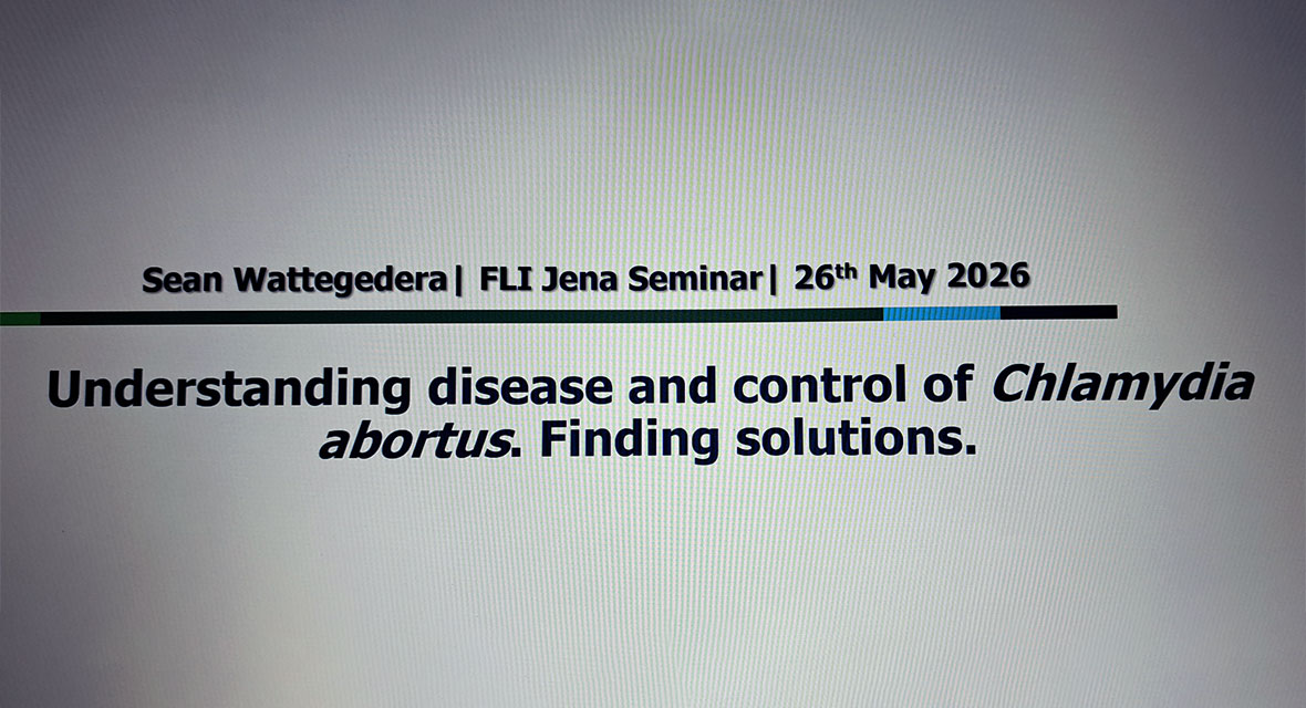 understanding disease and control of Chlamydia abortus